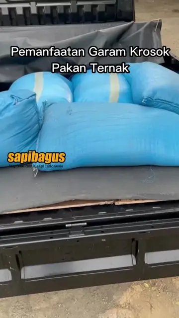 Garam-Pakan-Ternak